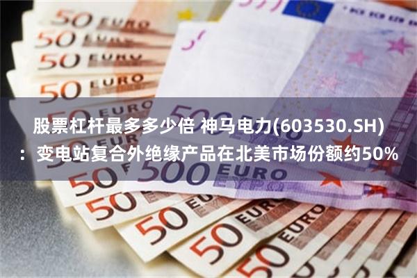 股票杠杆最多多少倍 神马电力(603530.SH)：变电站复合外绝缘产品在北美市场份额约50%
