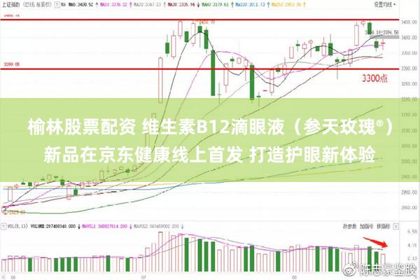 榆林股票配资 维生素B12滴眼液（参天玫瑰®）新品在京东健康线上首发 打造护眼新体验