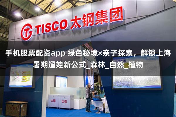 手机股票配资app 绿色秘境×亲子探索，解锁上海暑期遛娃新公式_森林_自然_植物