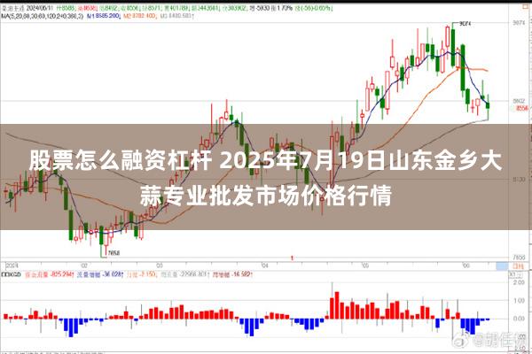股票怎么融资杠杆 2025年7月19日山东金乡大蒜专业批发市场价格行情