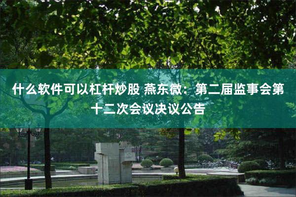 什么软件可以杠杆炒股 燕东微：第二届监事会第十二次会议决议公告