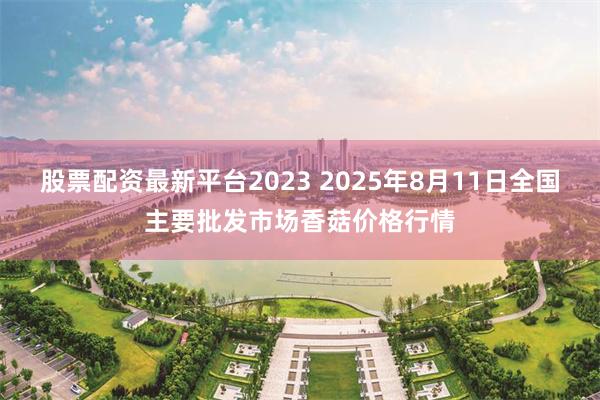 股票配资最新平台2023 2025年8月11日全国主要批发市场香菇价格行情