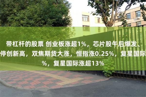 带杠杆的股票 创业板涨超1%，芯片股午后爆发、寒武纪涨停创新高，双焦期货大涨，恒指涨0.25%，复星国际涨超13%