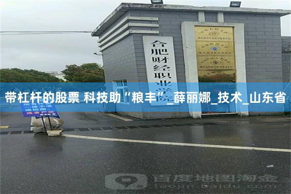 带杠杆的股票 科技助“粮丰”_薛丽娜_技术_山东省