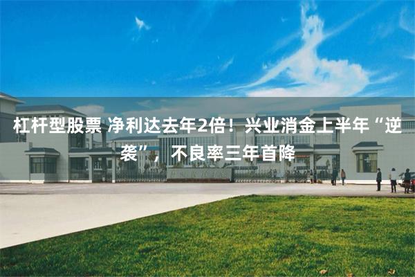 杠杆型股票 净利达去年2倍！兴业消金上半年“逆袭”，不良率三年首降