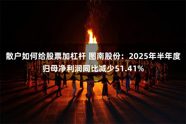 散户如何给股票加杠杆 图南股份：2025年半年度归母净利润同比减少51.41%