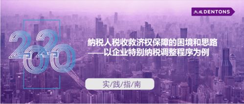納稅人稅收救濟權保障的困境與思路——以企業(yè)特別納稅調整程序為例